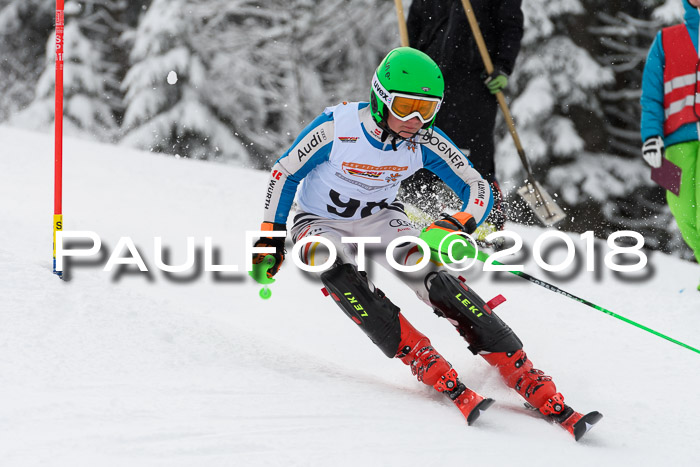 DSV Dt. Schülercup U14 SL 20.01.2018