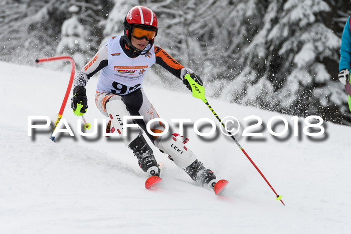 DSV Dt. Schülercup U14 SL 20.01.2018