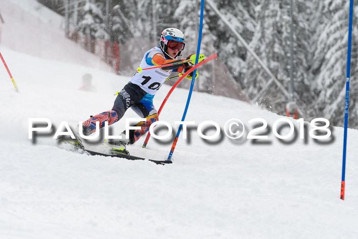 DSV Dt. Schülercup U14 SL 20.01.2018