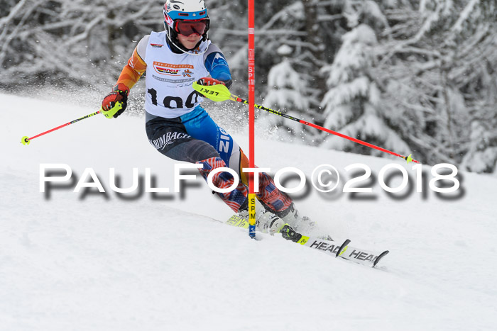 DSV Dt. Schülercup U14 SL 20.01.2018