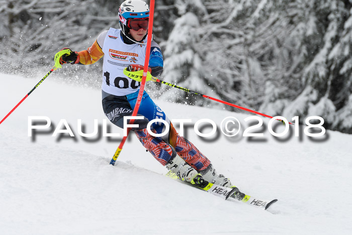 DSV Dt. Schülercup U14 SL 20.01.2018