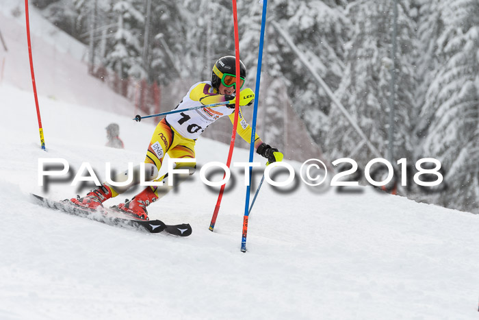 DSV Dt. Schülercup U14 SL 20.01.2018