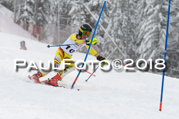 DSV Dt. Schülercup U14 SL 20.01.2018