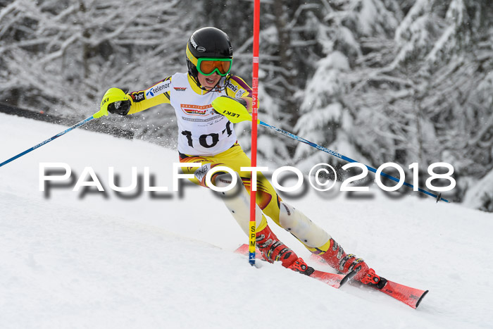 DSV Dt. Schülercup U14 SL 20.01.2018