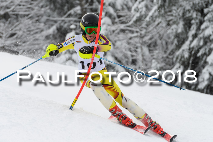 DSV Dt. Schülercup U14 SL 20.01.2018
