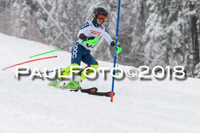 DSV Dt. Schülercup U14 SL 20.01.2018