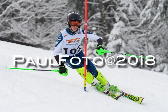 DSV Dt. Schülercup U14 SL 20.01.2018