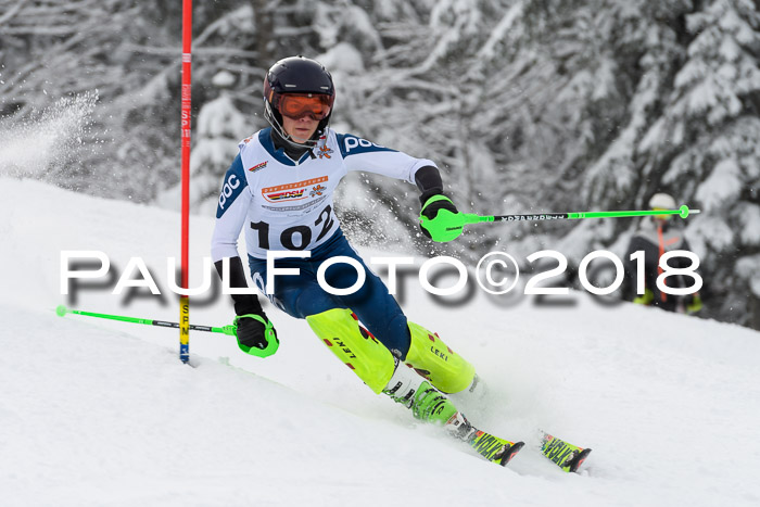 DSV Dt. Schülercup U14 SL 20.01.2018