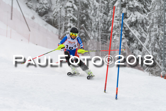 DSV Dt. Schülercup U14 SL 20.01.2018