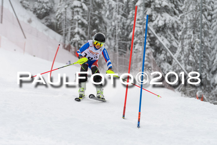 DSV Dt. Schülercup U14 SL 20.01.2018
