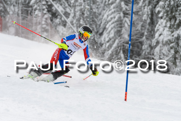 DSV Dt. Schülercup U14 SL 20.01.2018