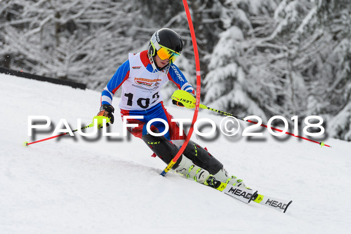 DSV Dt. Schülercup U14 SL 20.01.2018