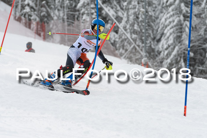 DSV Dt. Schülercup U14 SL 20.01.2018