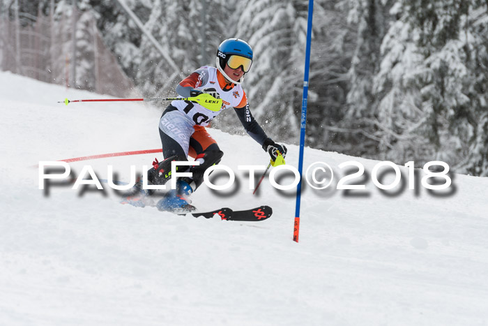 DSV Dt. Schülercup U14 SL 20.01.2018