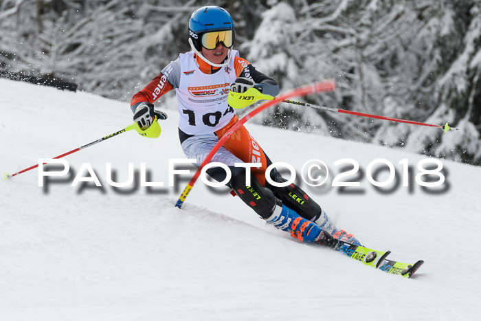 DSV Dt. Schülercup U14 SL 20.01.2018