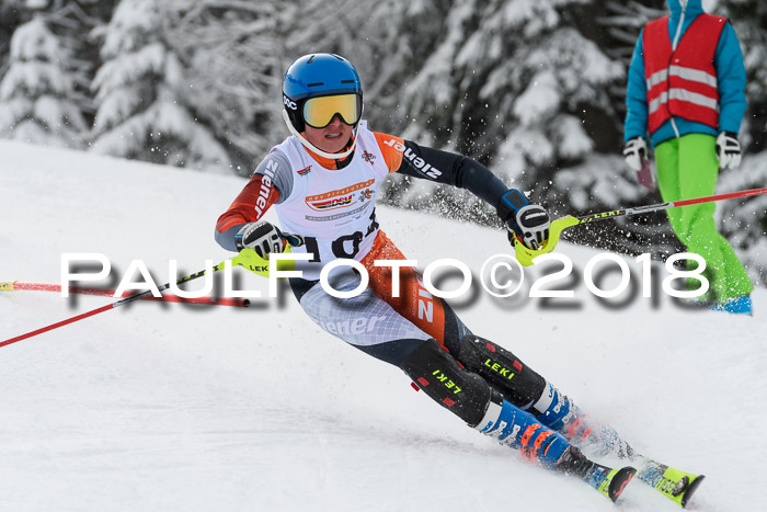 DSV Dt. Schülercup U14 SL 20.01.2018