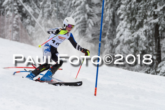 DSV Dt. Schülercup U14 SL 20.01.2018