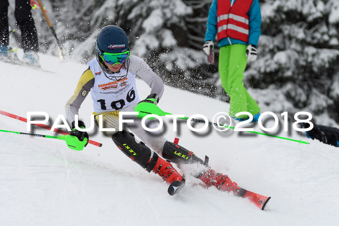 DSV Dt. Schülercup U14 SL 20.01.2018