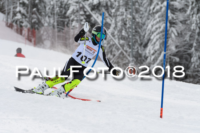 DSV Dt. Schülercup U14 SL 20.01.2018