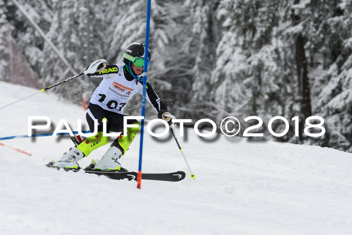 DSV Dt. Schülercup U14 SL 20.01.2018