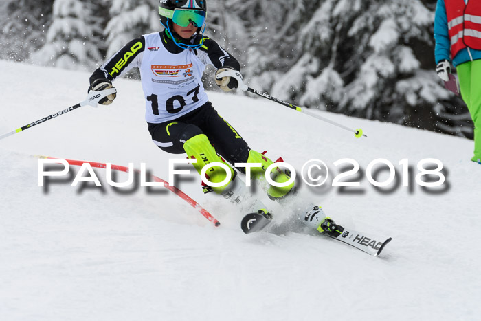 DSV Dt. Schülercup U14 SL 20.01.2018