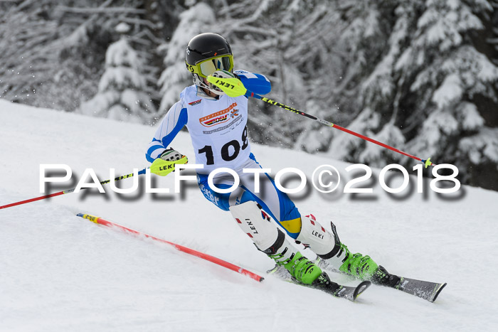 DSV Dt. Schülercup U14 SL 20.01.2018