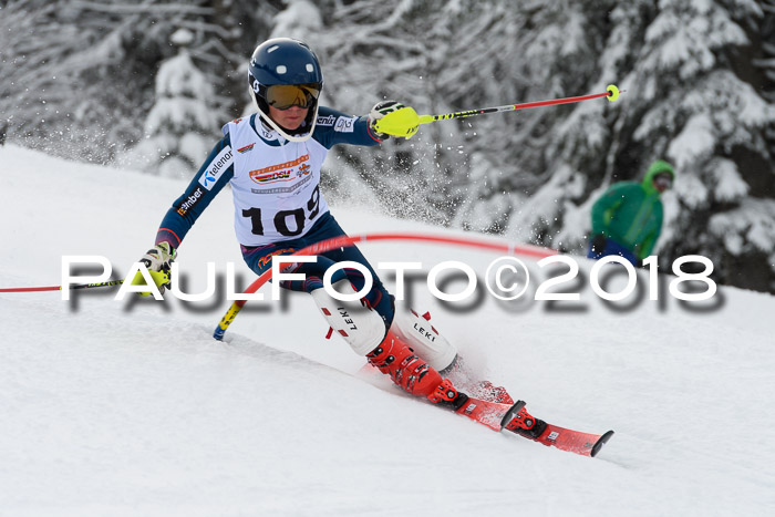 DSV Dt. Schülercup U14 SL 20.01.2018