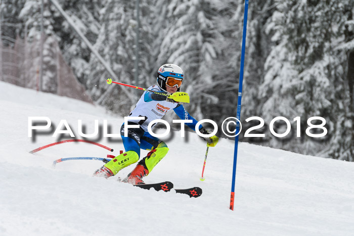 DSV Dt. Schülercup U14 SL 20.01.2018