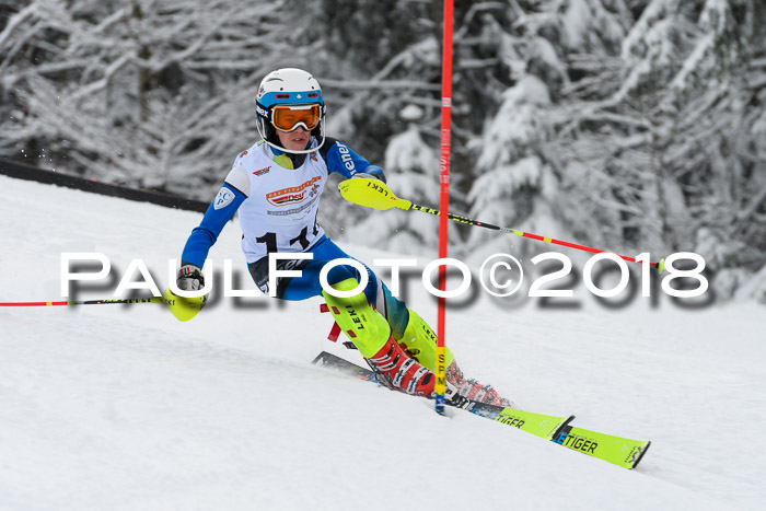 DSV Dt. Schülercup U14 SL 20.01.2018