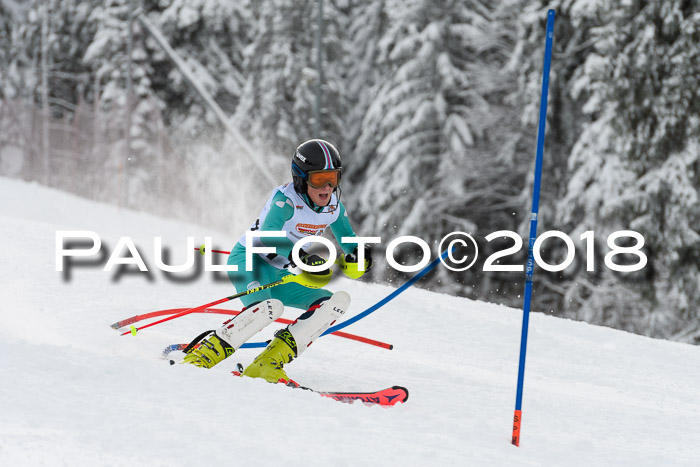 DSV Dt. Schülercup U14 SL 20.01.2018