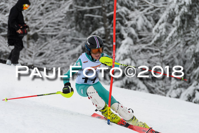DSV Dt. Schülercup U14 SL 20.01.2018