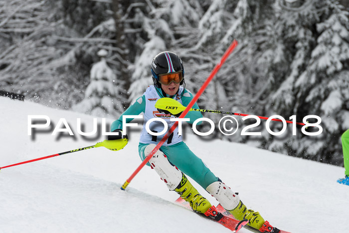 DSV Dt. Schülercup U14 SL 20.01.2018