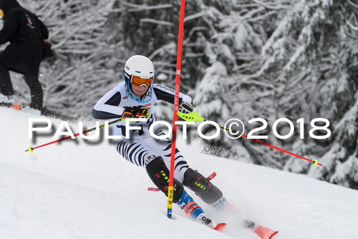 DSV Dt. Schülercup U14 SL 20.01.2018