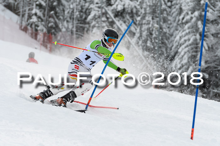 DSV Dt. Schülercup U14 SL 20.01.2018