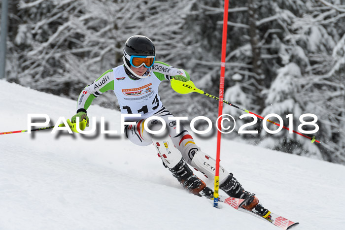 DSV Dt. Schülercup U14 SL 20.01.2018
