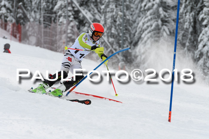 DSV Dt. Schülercup U14 SL 20.01.2018