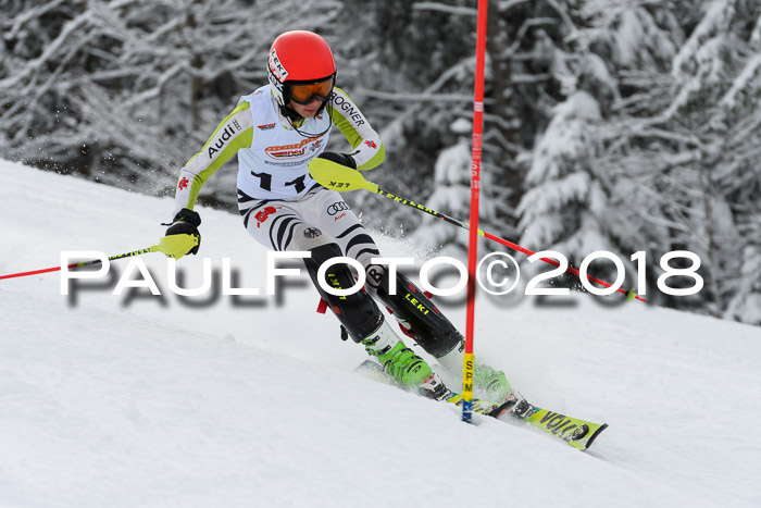 DSV Dt. Schülercup U14 SL 20.01.2018