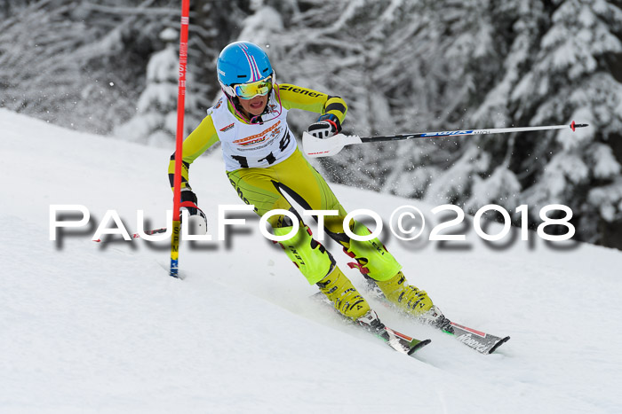 DSV Dt. Schülercup U14 SL 20.01.2018