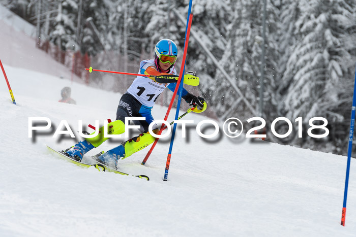 DSV Dt. Schülercup U14 SL 20.01.2018