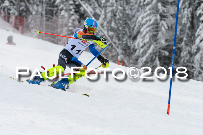DSV Dt. Schülercup U14 SL 20.01.2018