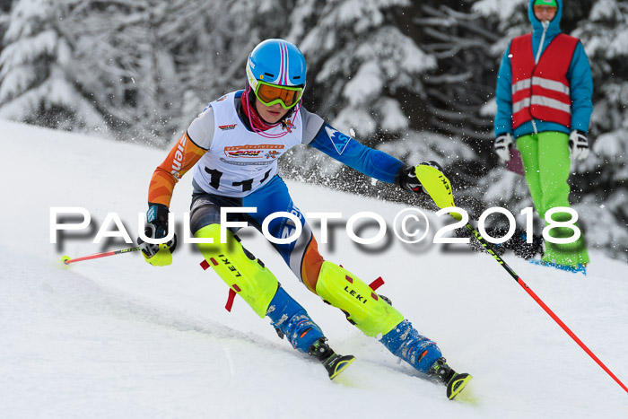 DSV Dt. Schülercup U14 SL 20.01.2018