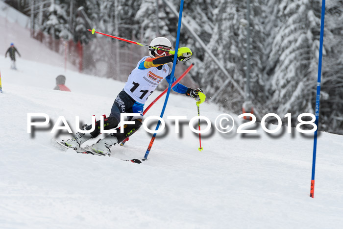 DSV Dt. Schülercup U14 SL 20.01.2018