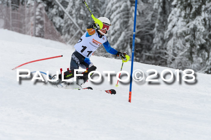 DSV Dt. Schülercup U14 SL 20.01.2018