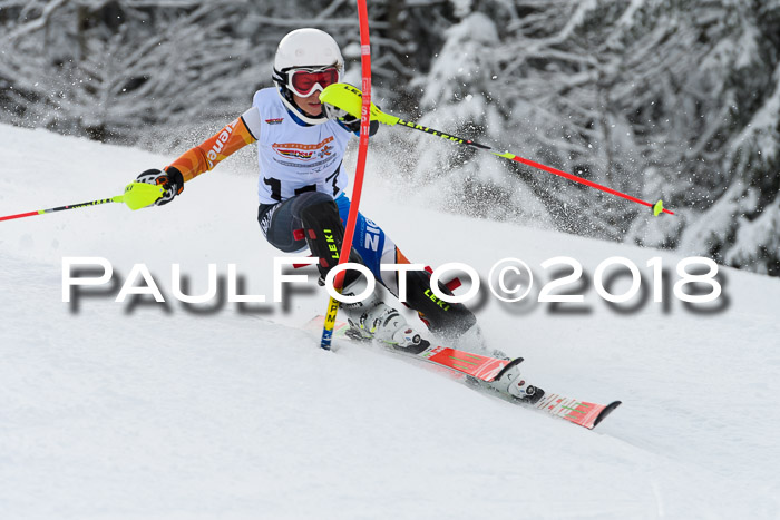 DSV Dt. Schülercup U14 SL 20.01.2018