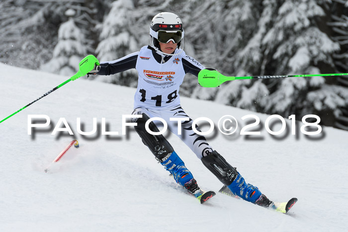 DSV Dt. Schülercup U14 SL 20.01.2018