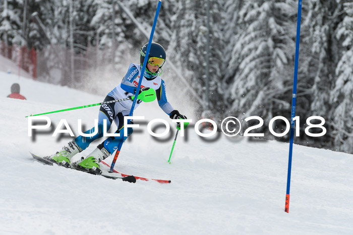 DSV Dt. Schülercup U14 SL 20.01.2018