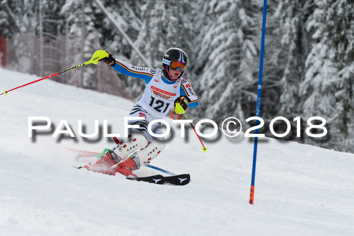 DSV Dt. Schülercup U14 SL 20.01.2018