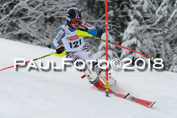 DSV Dt. Schülercup U14 SL 20.01.2018