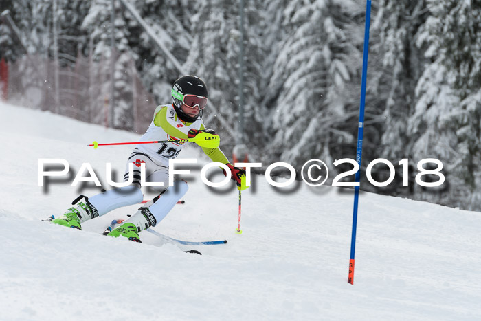 DSV Dt. Schülercup U14 SL 20.01.2018