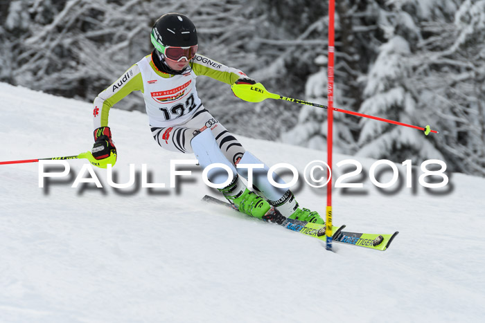 DSV Dt. Schülercup U14 SL 20.01.2018